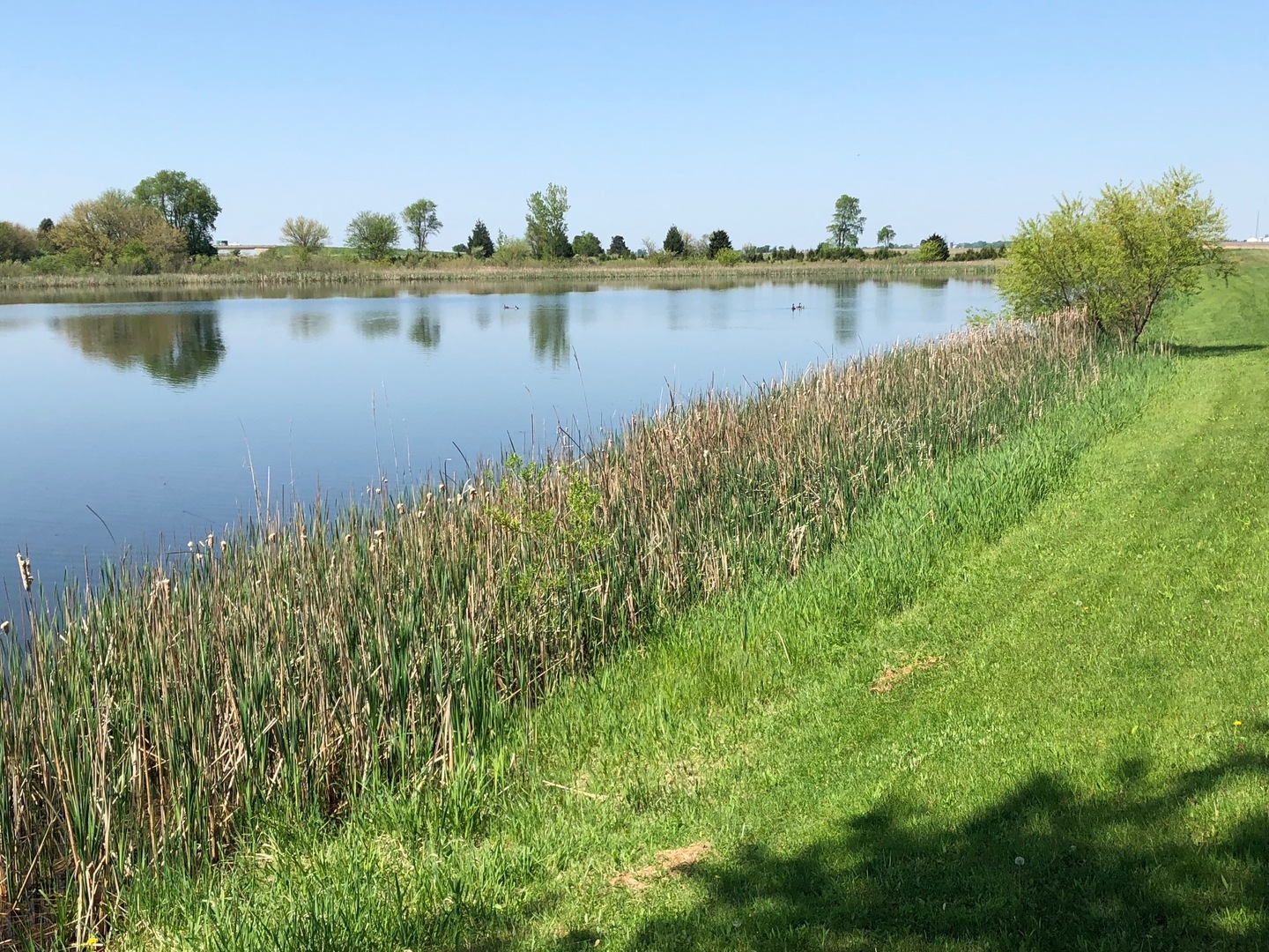 2437 Quarry Road Ashton, IL 61006 - Photo 3 of 13 a view of a lake with a city