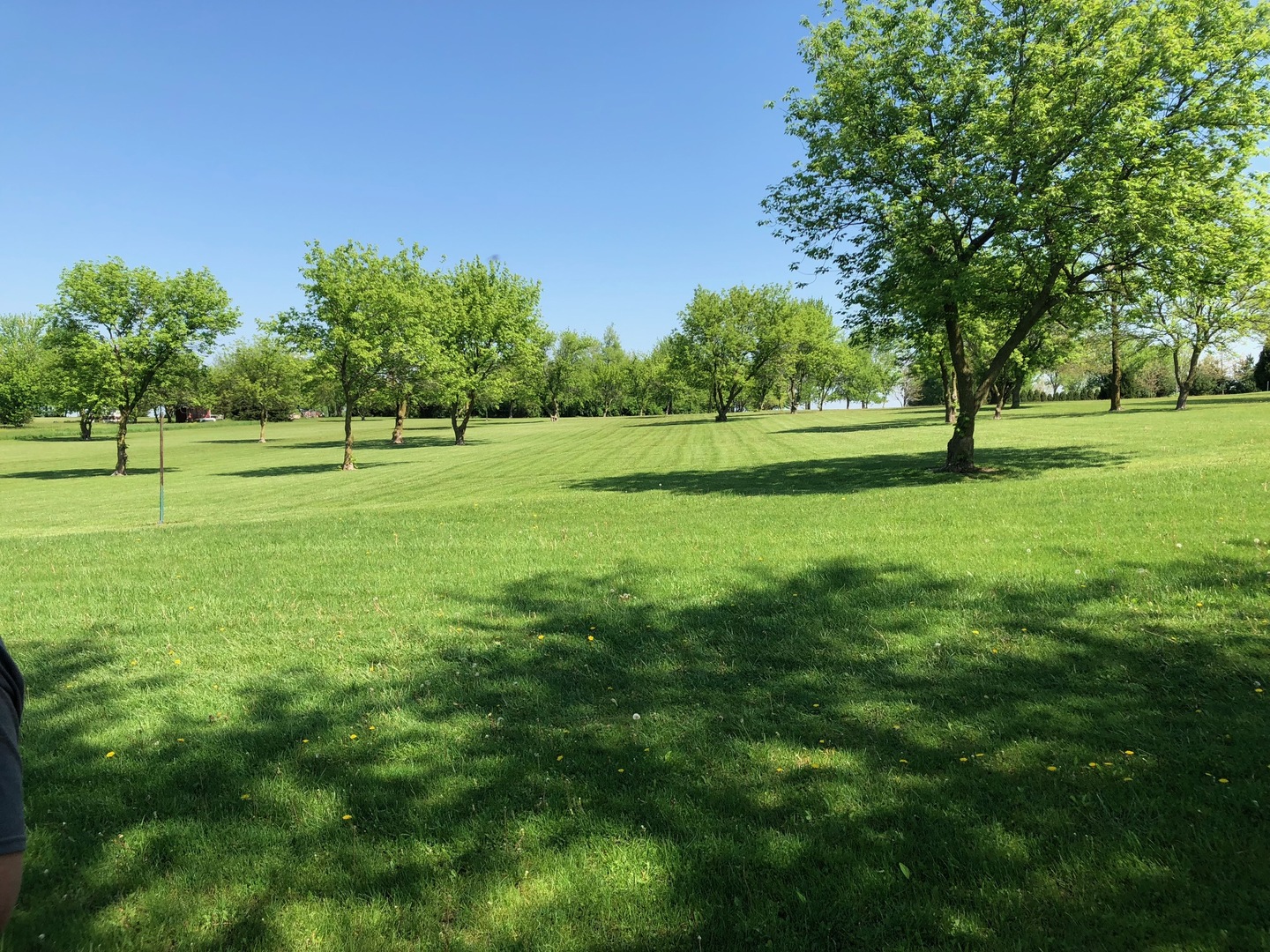 2437 Quarry Road Ashton, IL 61006 - Photo 4 of 13 a view of field with trees in the background