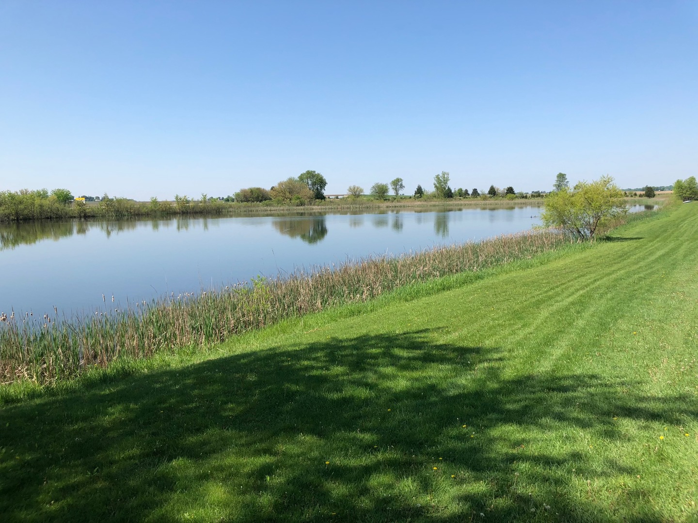 2437 Quarry Road Ashton, IL 61006 - Photo 5 of 13 a view of a lake with houses in the background