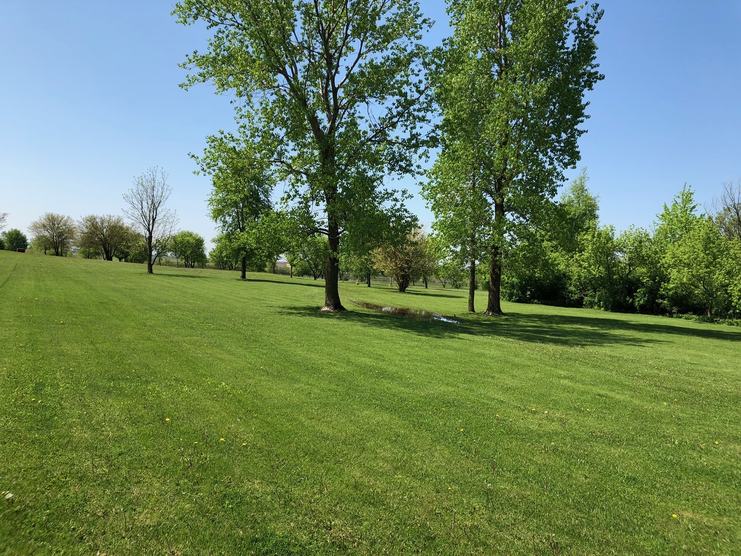 2437 Quarry Road Ashton, IL 61006 - Photo 8 of 13 a view of a trees in a park