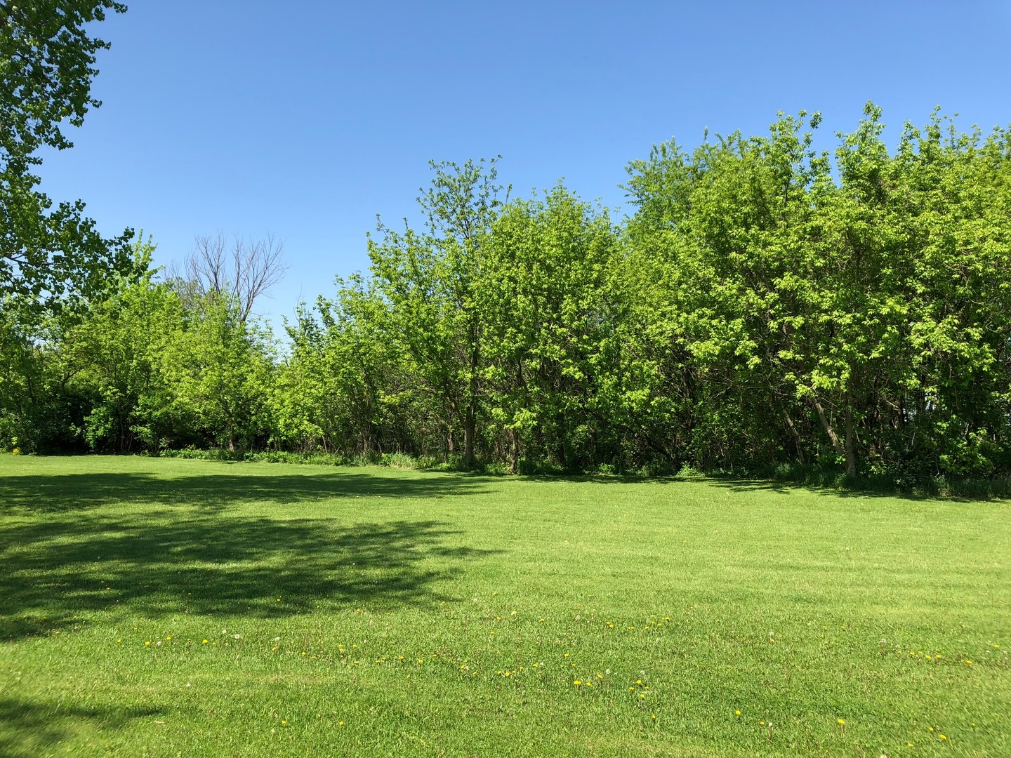 2437 Quarry Road Ashton, IL 61006 - Photo 10 of 13 a view of a grassy field with trees in the background