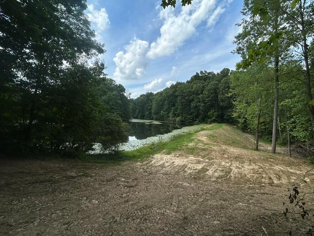24229 Sanes Creek Road Laurel, IN 47024 - Photo 38 of 54