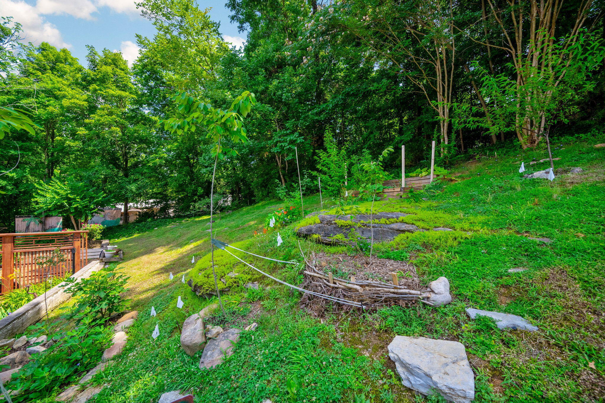 643 West View Road Chattanooga, TN 37415 - Photo 31 of 38 32-web-or-mls-DSC_5464