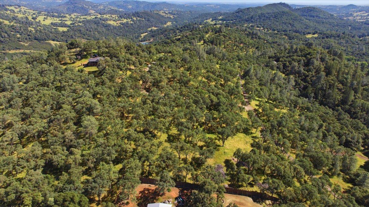 2021 Solitude Way Shingle Springs, CA 95682 - Photo 3 of 12