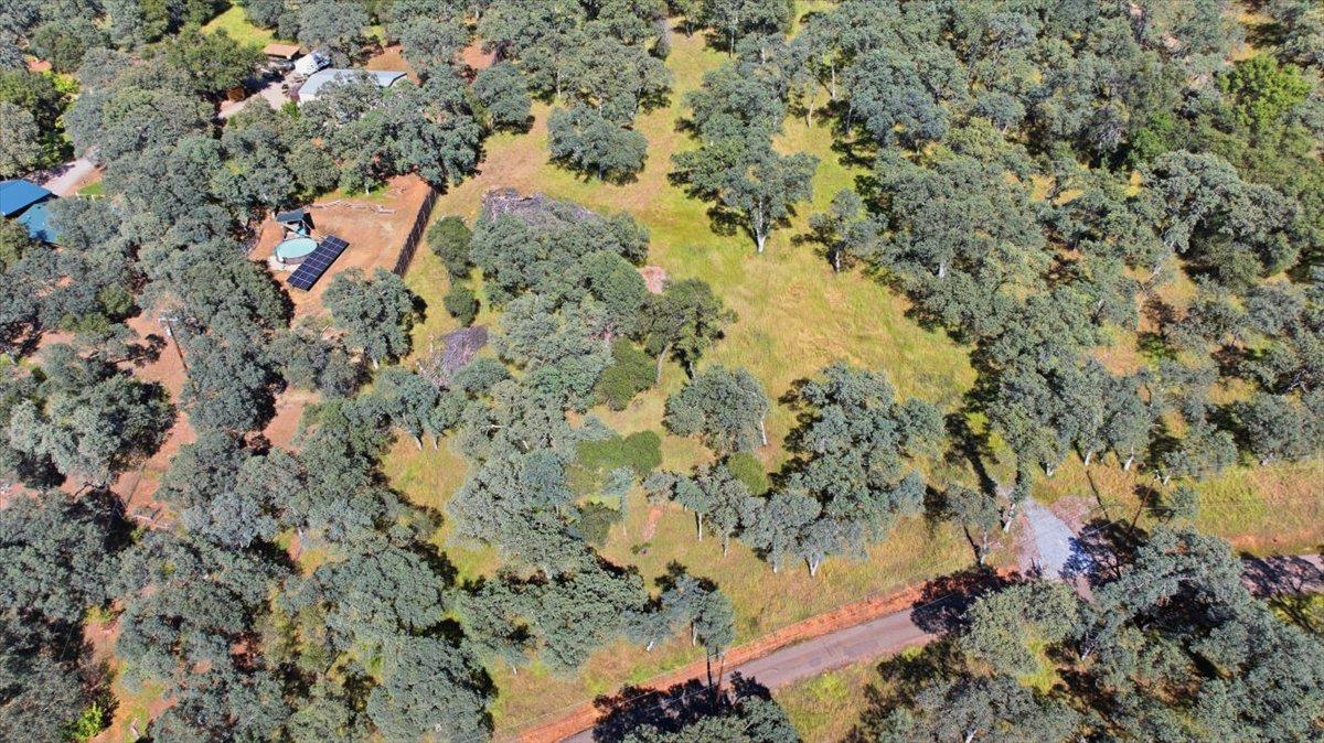2021 Solitude Way Shingle Springs, CA 95682 - Photo 5 of 12