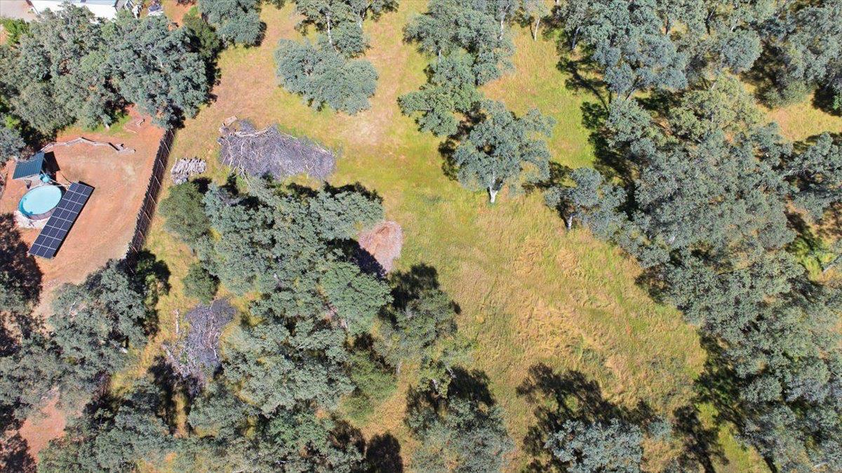 2021 Solitude Way Shingle Springs, CA 95682 - Photo 6 of 12