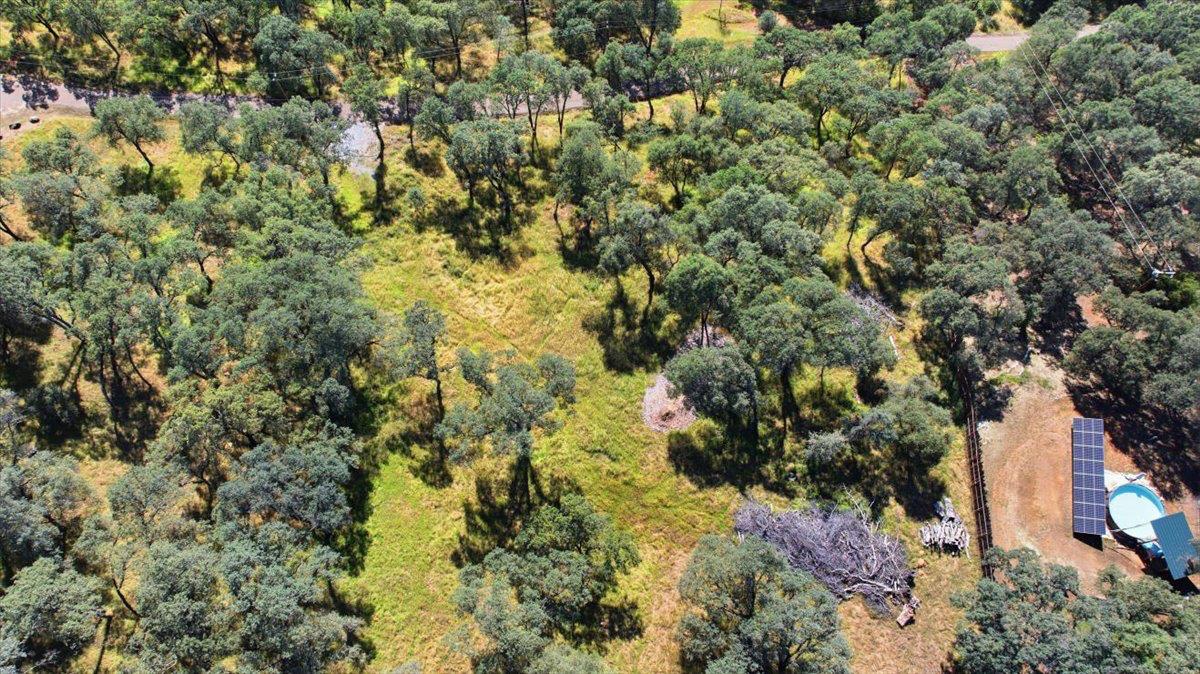2021 Solitude Way Shingle Springs, CA 95682 - Photo 7 of 12