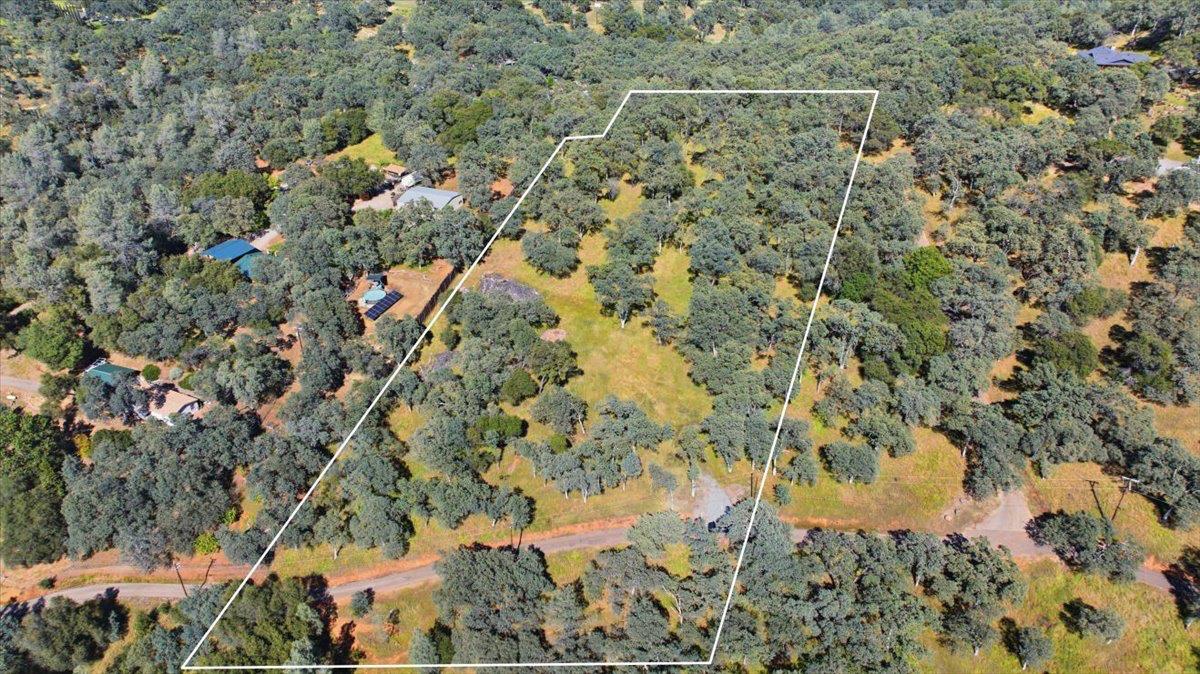 2021 Solitude Way Shingle Springs, CA 95682 - Photo 8 of 12