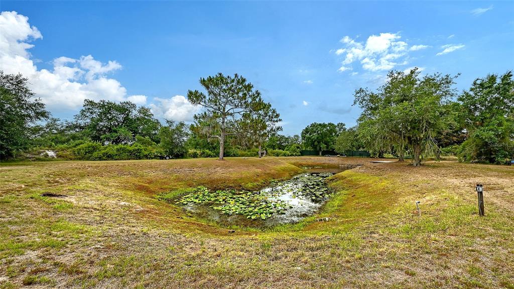 7945 Verna Bethany Road Myakka City, FL 34251 - Photo 65 of 73