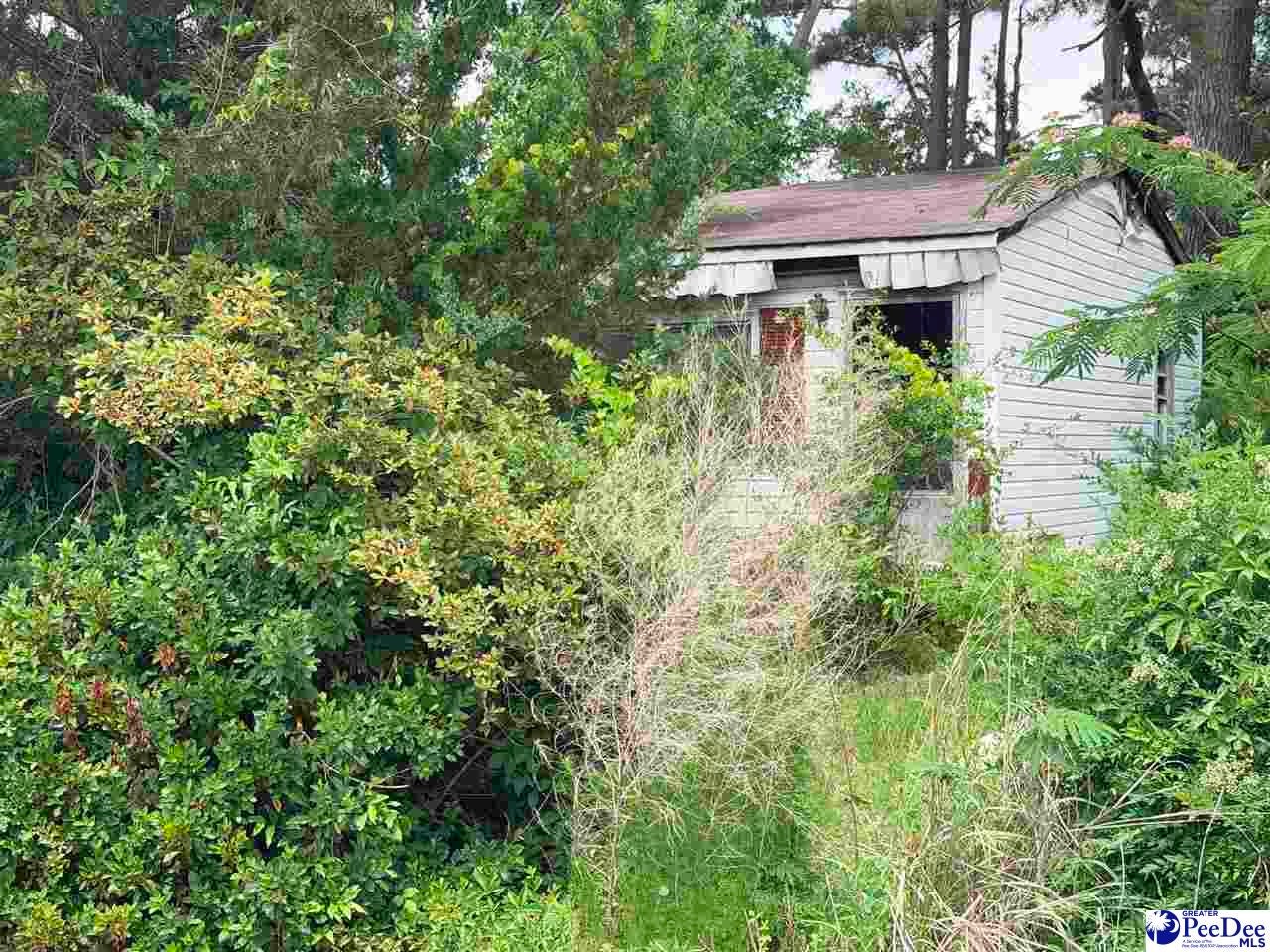 1041 Airport Road Dillon, SC 29536 - Photo 1 of 4 Gallery Image 1