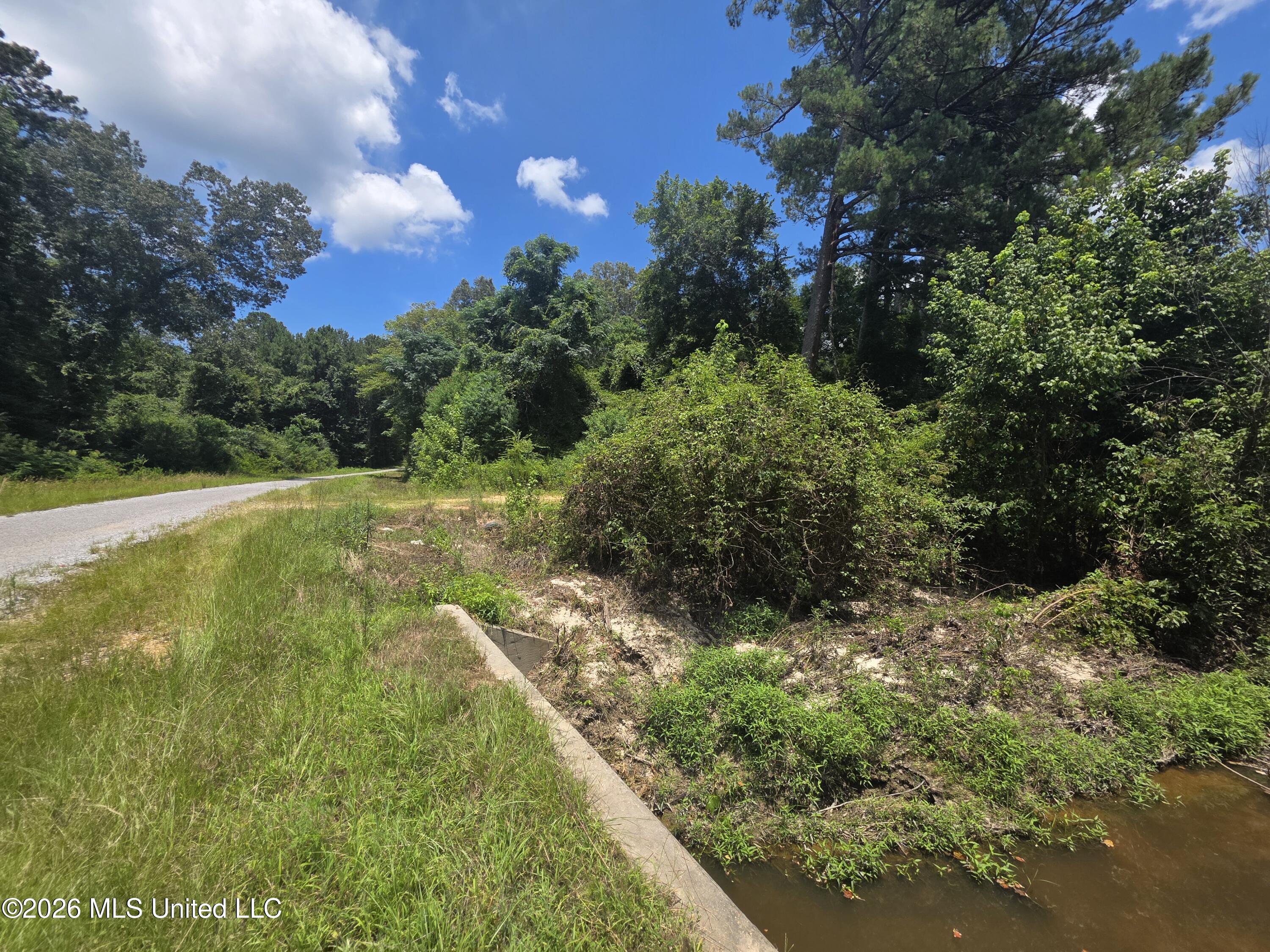 538 East Scrd Morton, MS 39117 - Photo 2 of 30 37189