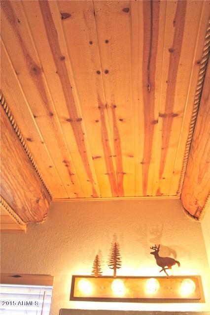 1675 Elk Canyon Road Heber, AZ 85928 - Photo 30 of 88 Bath2