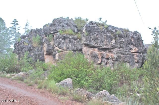 1675 Elk Canyon Road Heber, AZ 85928 - Photo 3 of 88 Road3