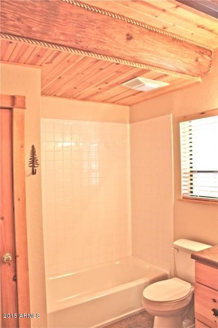 1675 Elk Canyon Road Heber, AZ 85928 - Photo 31 of 88 Bath3
