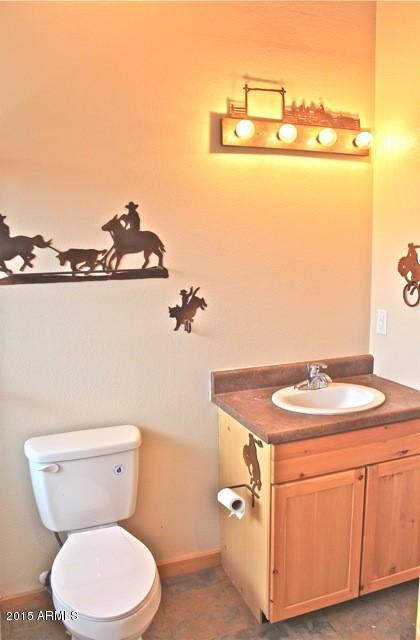1675 Elk Canyon Road Heber, AZ 85928 - Photo 33 of 88 Bath6