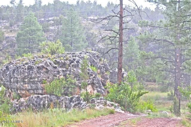 1675 Elk Canyon Road Heber, AZ 85928 - Photo 4 of 88 Road4