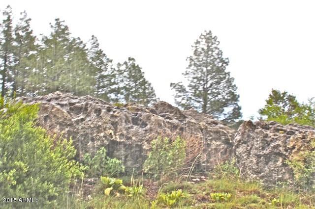 1675 Elk Canyon Road Heber, AZ 85928 - Photo 5 of 88 Road5