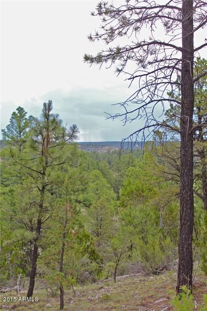 1675 Elk Canyon Road Heber, AZ 85928 - Photo 53 of 88 Views
