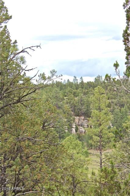1675 Elk Canyon Road Heber, AZ 85928 - Photo 54 of 88 Views1