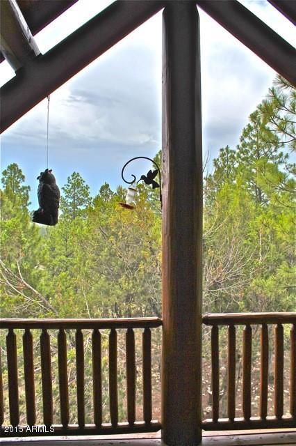 1675 Elk Canyon Road Heber, AZ 85928 - Photo 58 of 88 Views8