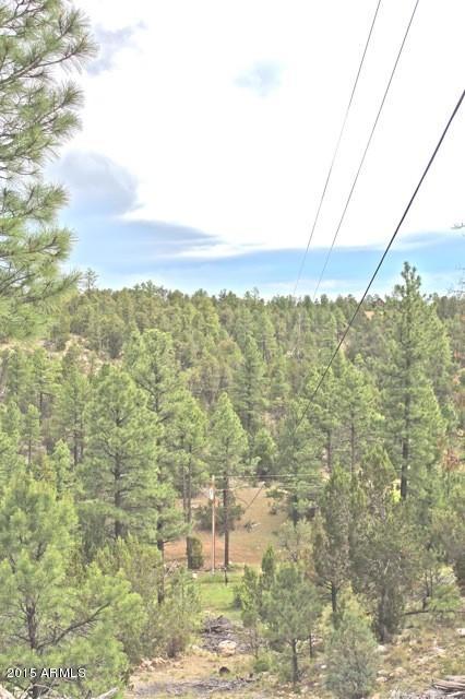 1675 Elk Canyon Road Heber, AZ 85928 - Photo 60 of 88 Views14