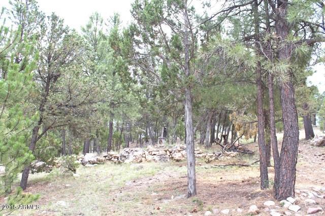 1675 Elk Canyon Road Heber, AZ 85928 - Photo 62 of 88 Yard