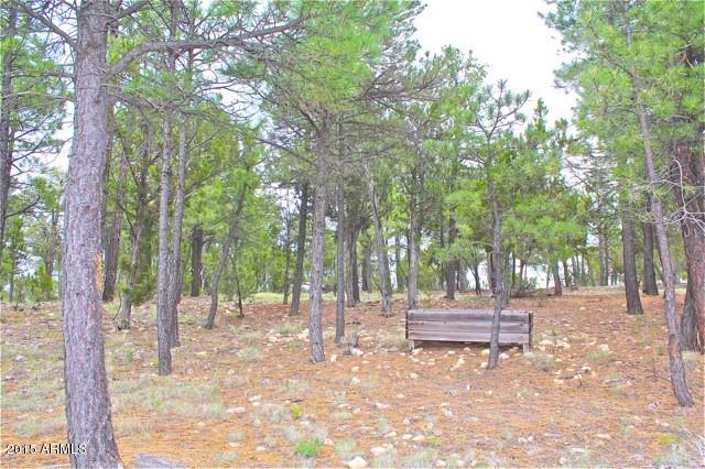 1675 Elk Canyon Road Heber, AZ 85928 - Photo 64 of 88 Yard5