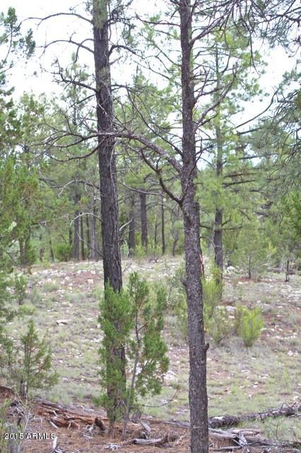 1675 Elk Canyon Road Heber, AZ 85928 - Photo 66 of 88 Yard7