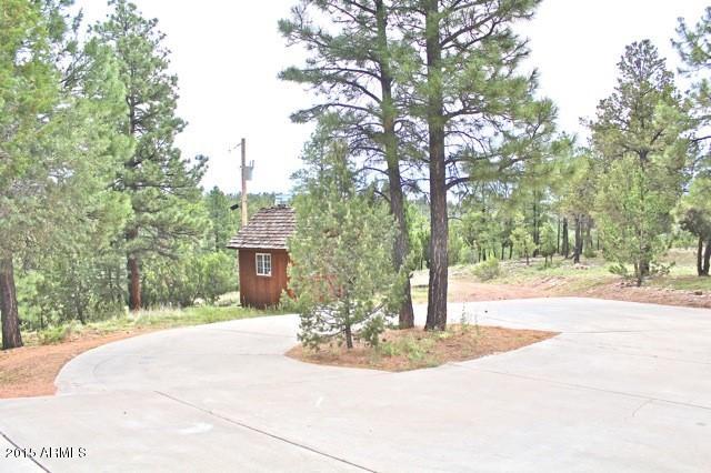 1675 Elk Canyon Road Heber, AZ 85928 - Photo 86 of 88 Home-Driveway3
