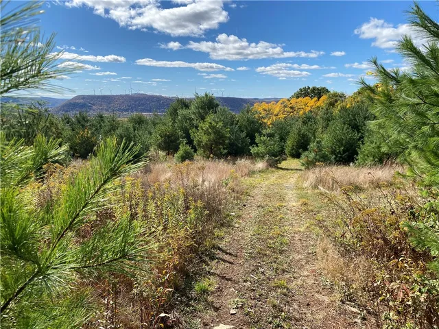 $195,000 | 0 Saunders Hill Road, Naples, NY 14512