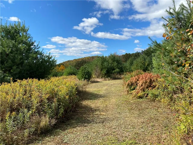 $195,000 | 0 Saunders Hill Road, Naples, NY 14512