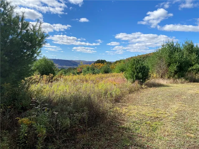 $195,000 | 0 Saunders Hill Road, Naples, NY 14512