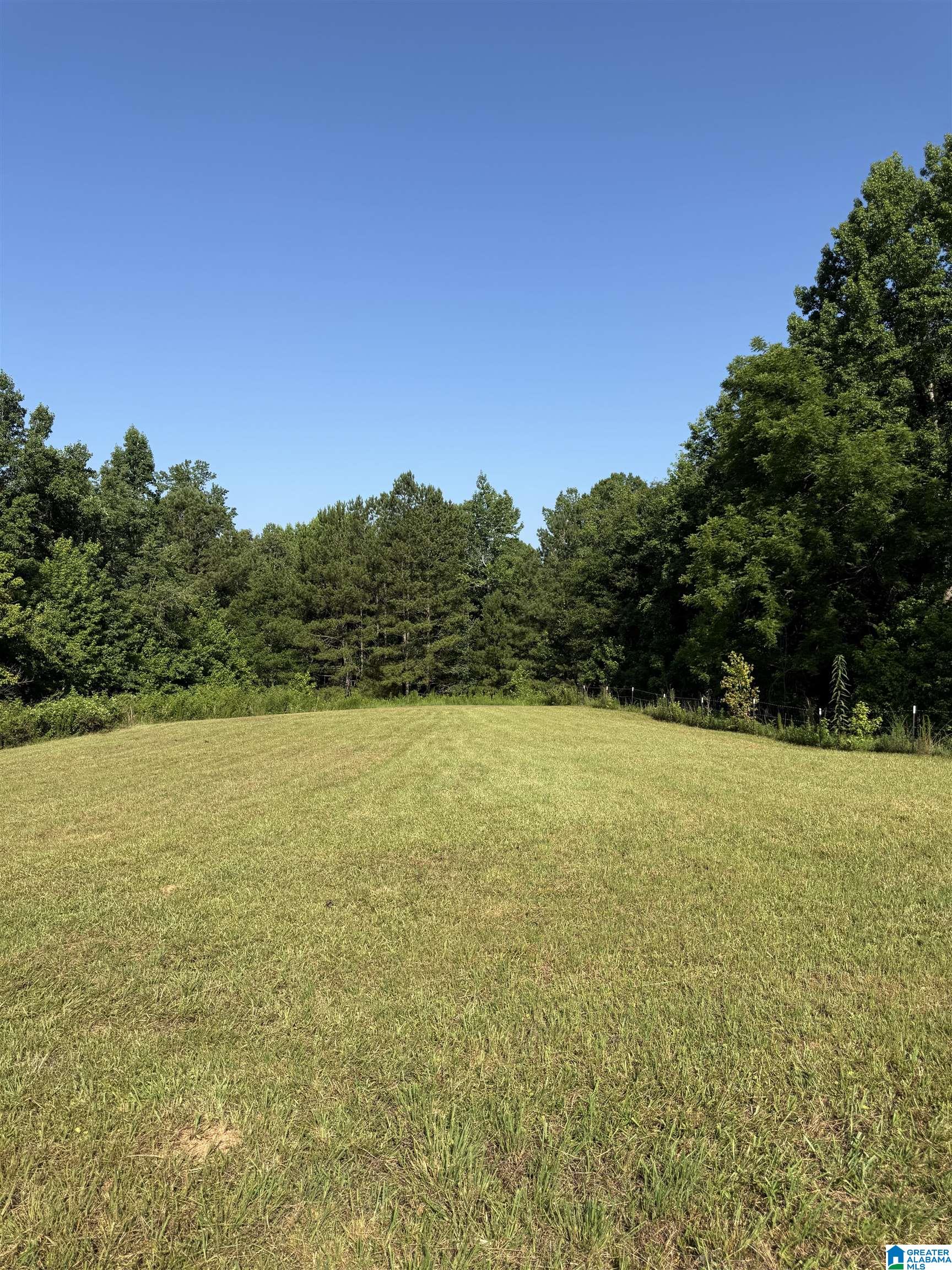 0 County Road 450 Fruithurst, AL 36262 - Photo 8 of 13