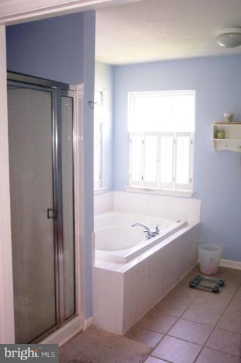 223 Patriots Way Elkton, MD 21921 - Photo 13 of 28 Separate shower and Garden Tub