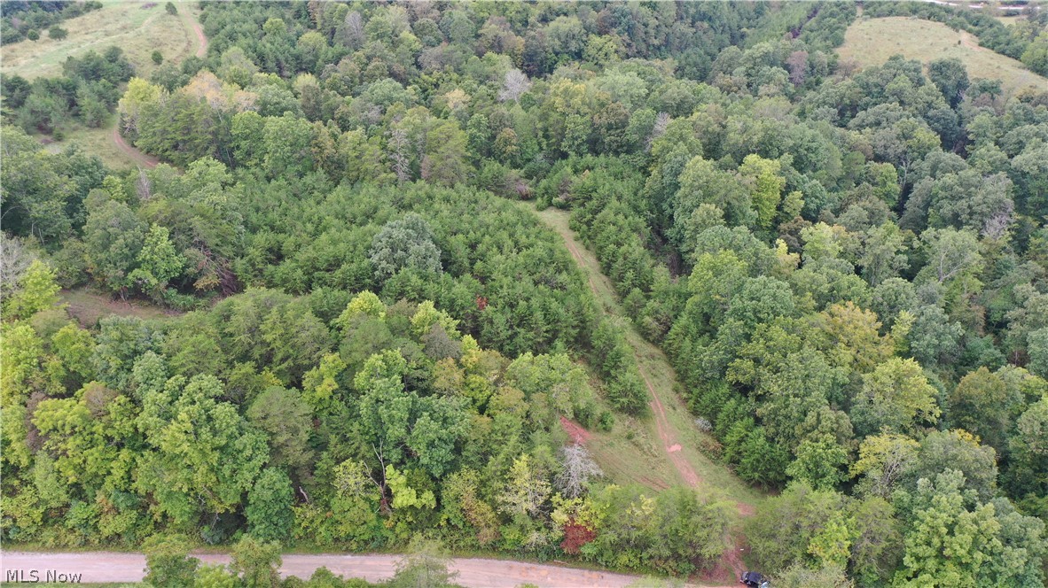 0 Bell Run Road Brohard, WV 26138 - Photo 4 of 30