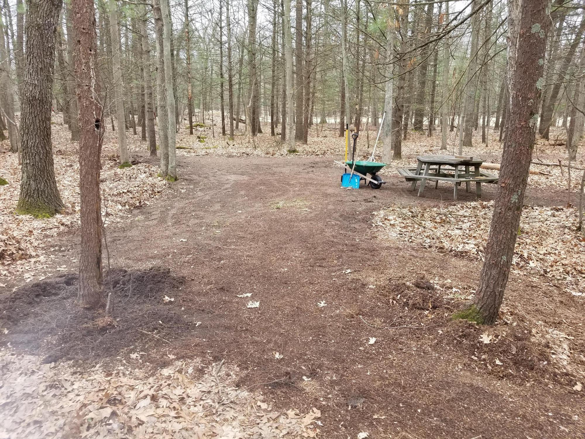 8335 Lamos Road Montague, MI 49437 - Photo 7 of 36 Summer Fire Pit