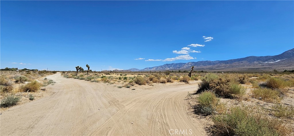 800 Morningside Road Lucerne Valley, CA 92356 - Photo 1 of 1 Gallery Image 1