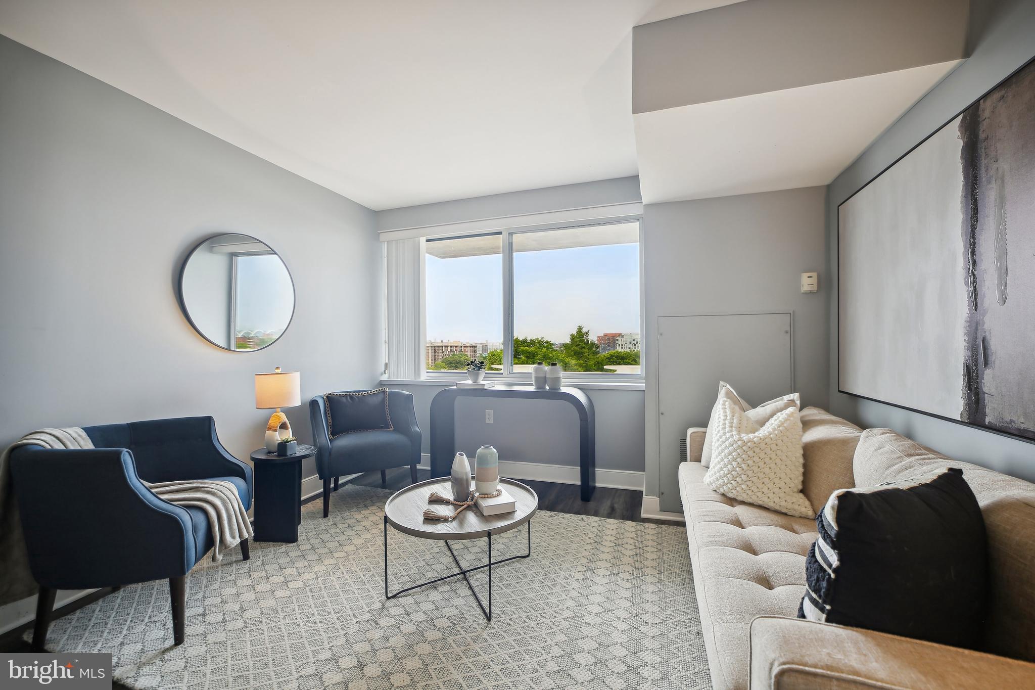 800 4th Street Southwest, Unit S717 Washington, DC 20024 - Photo 6 of 36 Bright Living Room