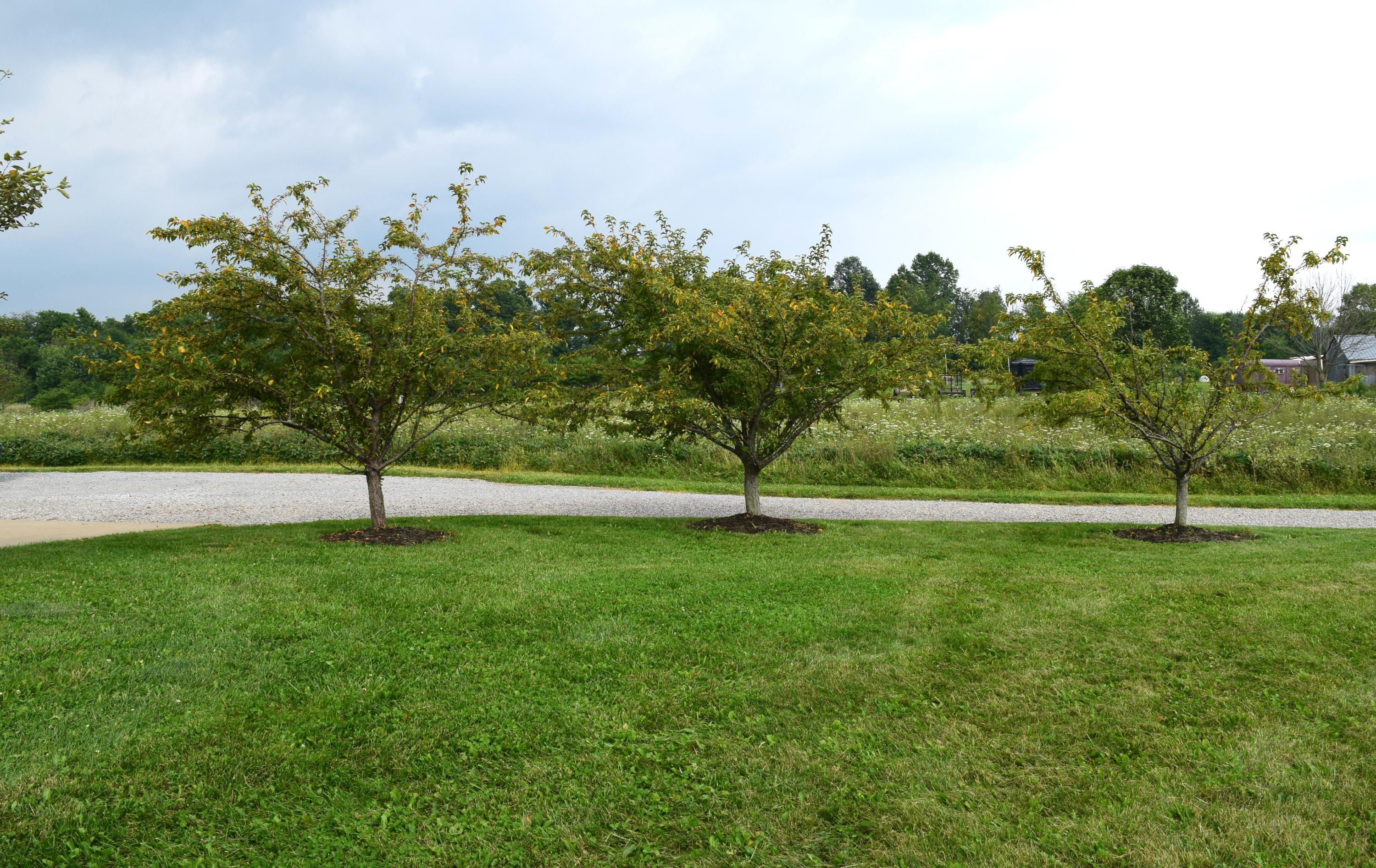 4711 Lock Road Centerburg, OH 43011 - Photo 39 of 55 Gallery Image 39