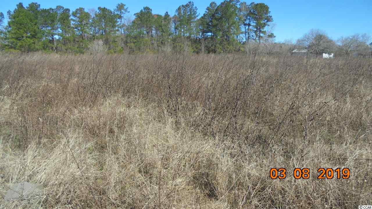 Rd Road Conway, SC 29526 - Photo 3 of 5 Gallery Image 3