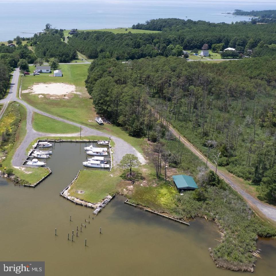 5441 Ragged Point Road Cambridge, MD 21613 - Photo 2 of 44 aerial view of the marina