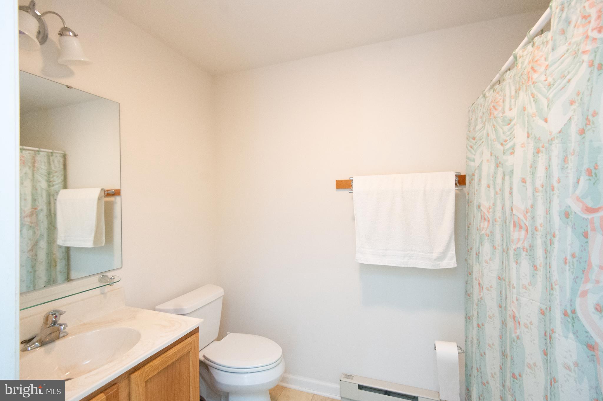 5441 Ragged Point Road Cambridge, MD 21613 - Photo 21 of 44 primary bath