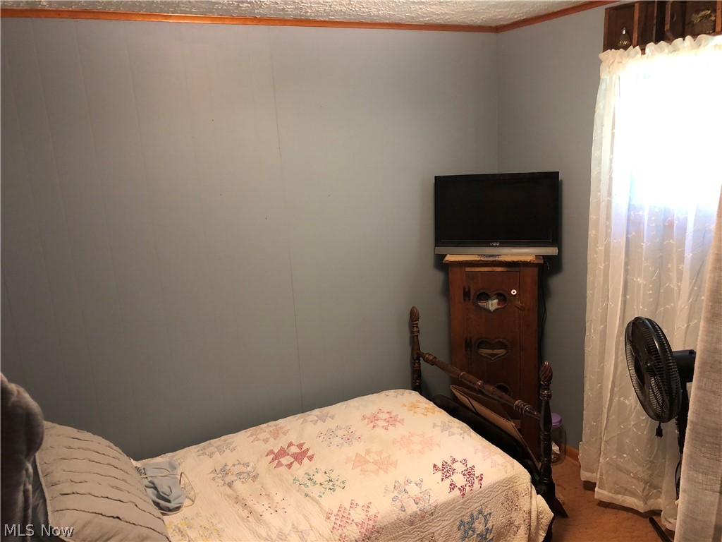 78971 Hamilton Ridge Road Freeport, OH 43973 - Photo 8 of 31 Gallery Image 8