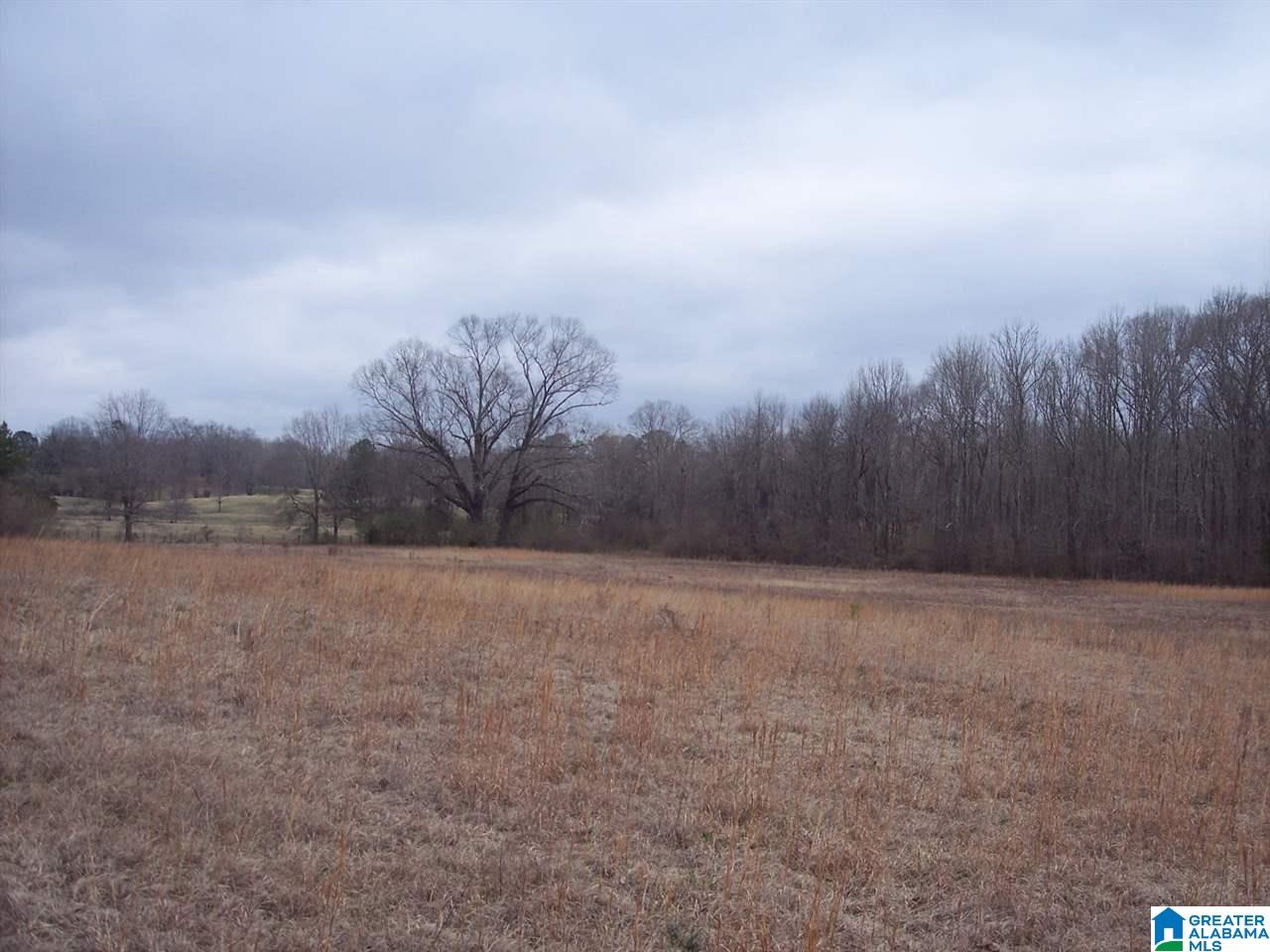 0 Big Oak Road Ohatchee, AL 36271 - Photo 2 of 7
