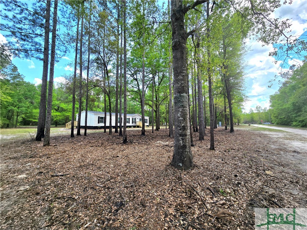 76 D B Edward Smith Road Ellabell, GA 31308 - Photo 16 of 50 Gallery Image 16