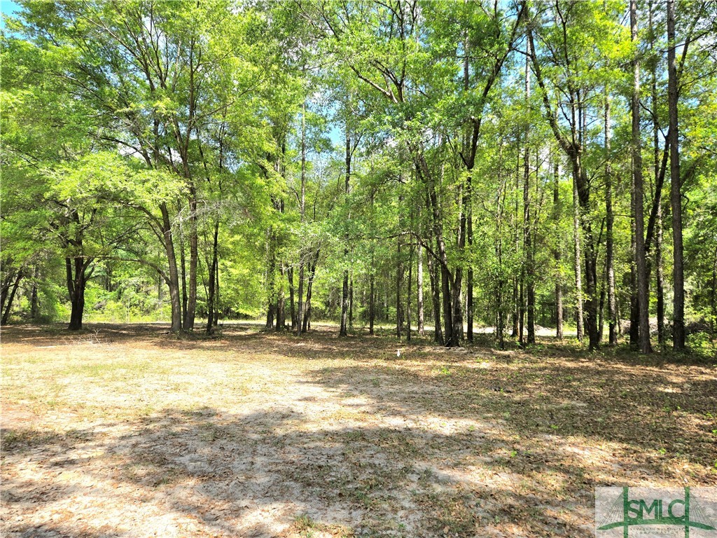 76 D B Edward Smith Road Ellabell, GA 31308 - Photo 5 of 50 Gallery Image 5