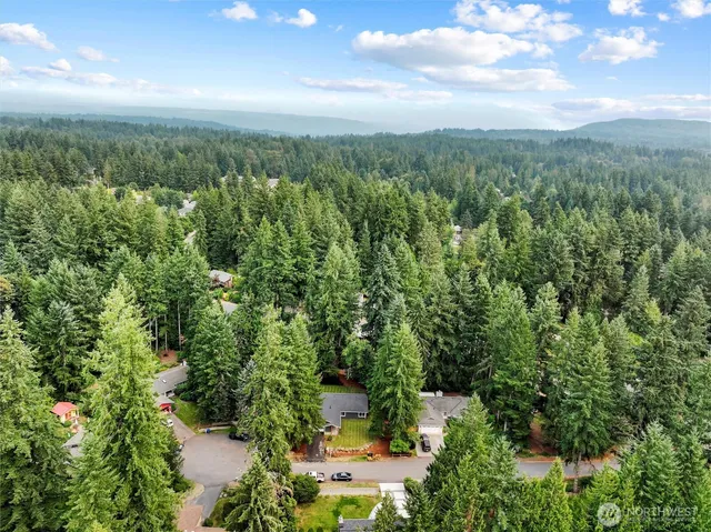 a view of a city with lush green forest