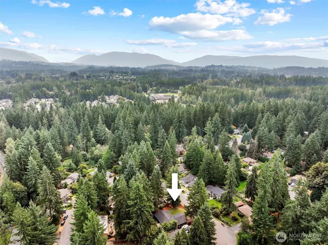 a view of a city with lush green forest