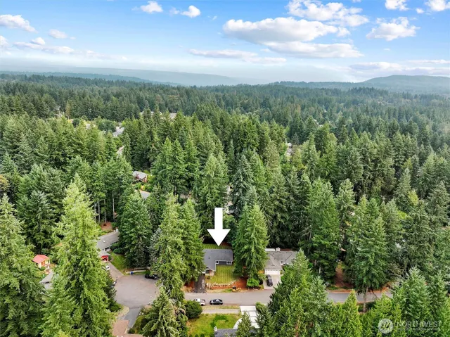 a view of a city with lush green forest