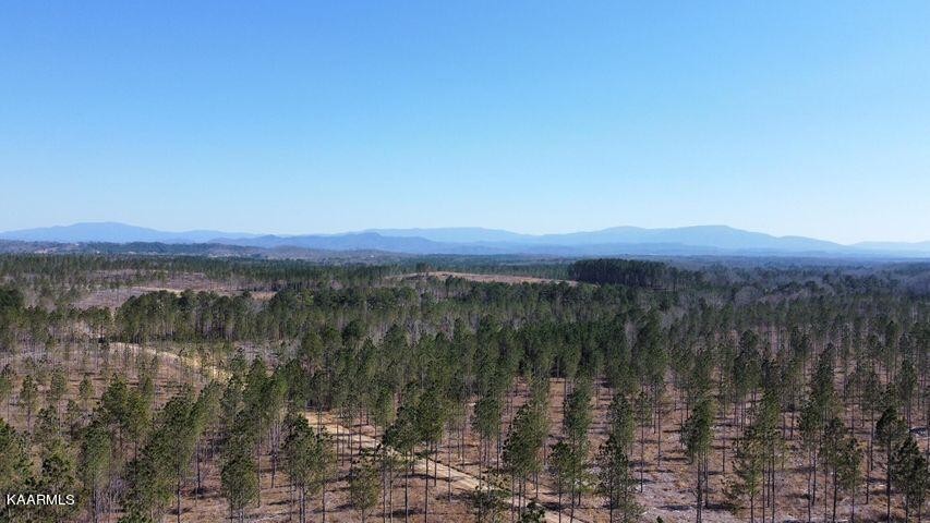 8 Hughes Lake Road Southeast Cleveland, TN 37323 - Photo 2 of 12